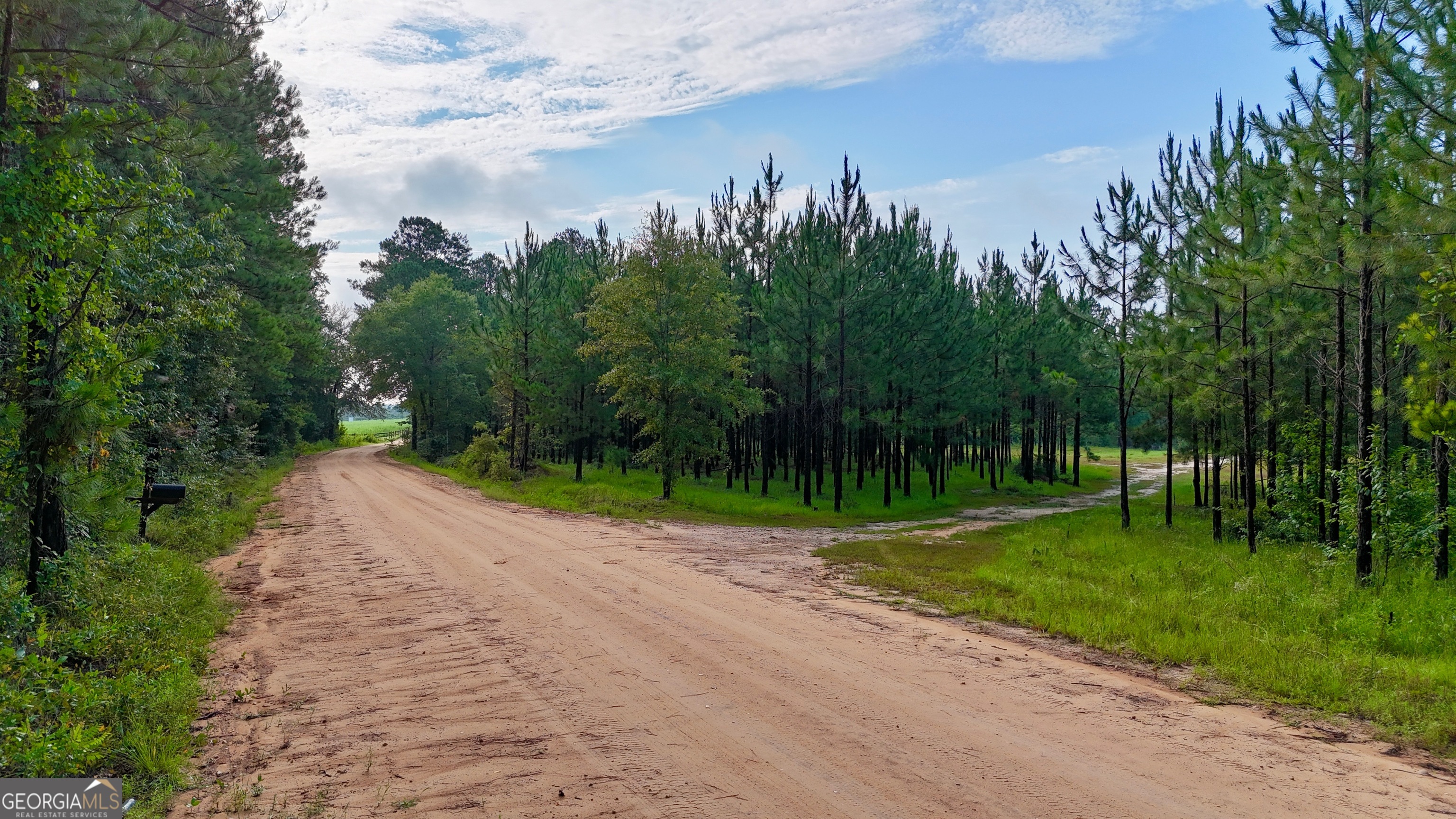 503 Alton Lawson Road Adrian, GA 31002 - Photo 6 of 15