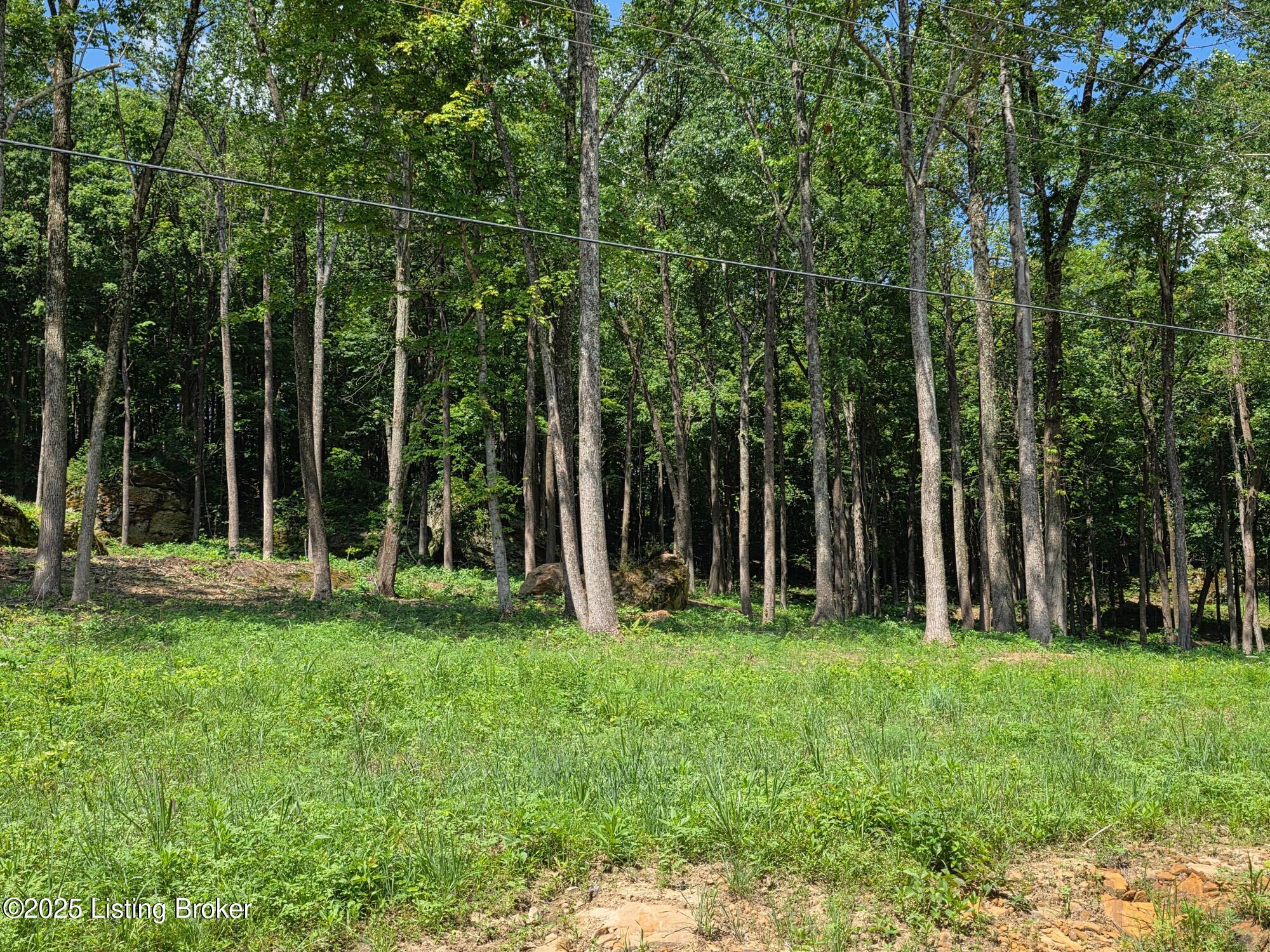 3 Cave Creek Road Falls Of Rough, KY 40119 - Photo 1 of 7 Lot 3 The Cliffs at Cave Creek