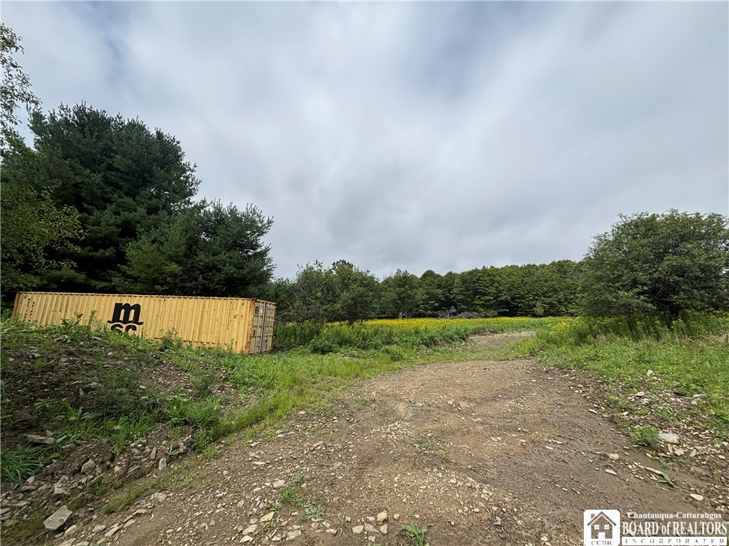 Swain Hill Road Andover, NY 14806 - Photo 15 of 44 Gallery Image 15