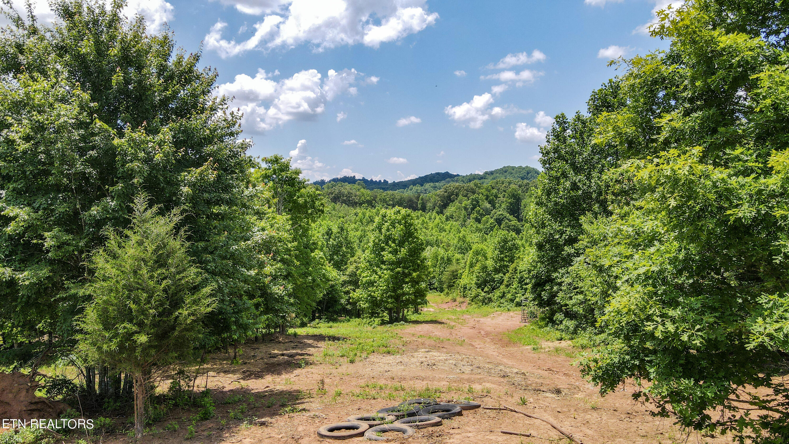 2072 Ballplay Road Madisonville, TN 37354 - Photo 17 of 55 24-DJI_0795