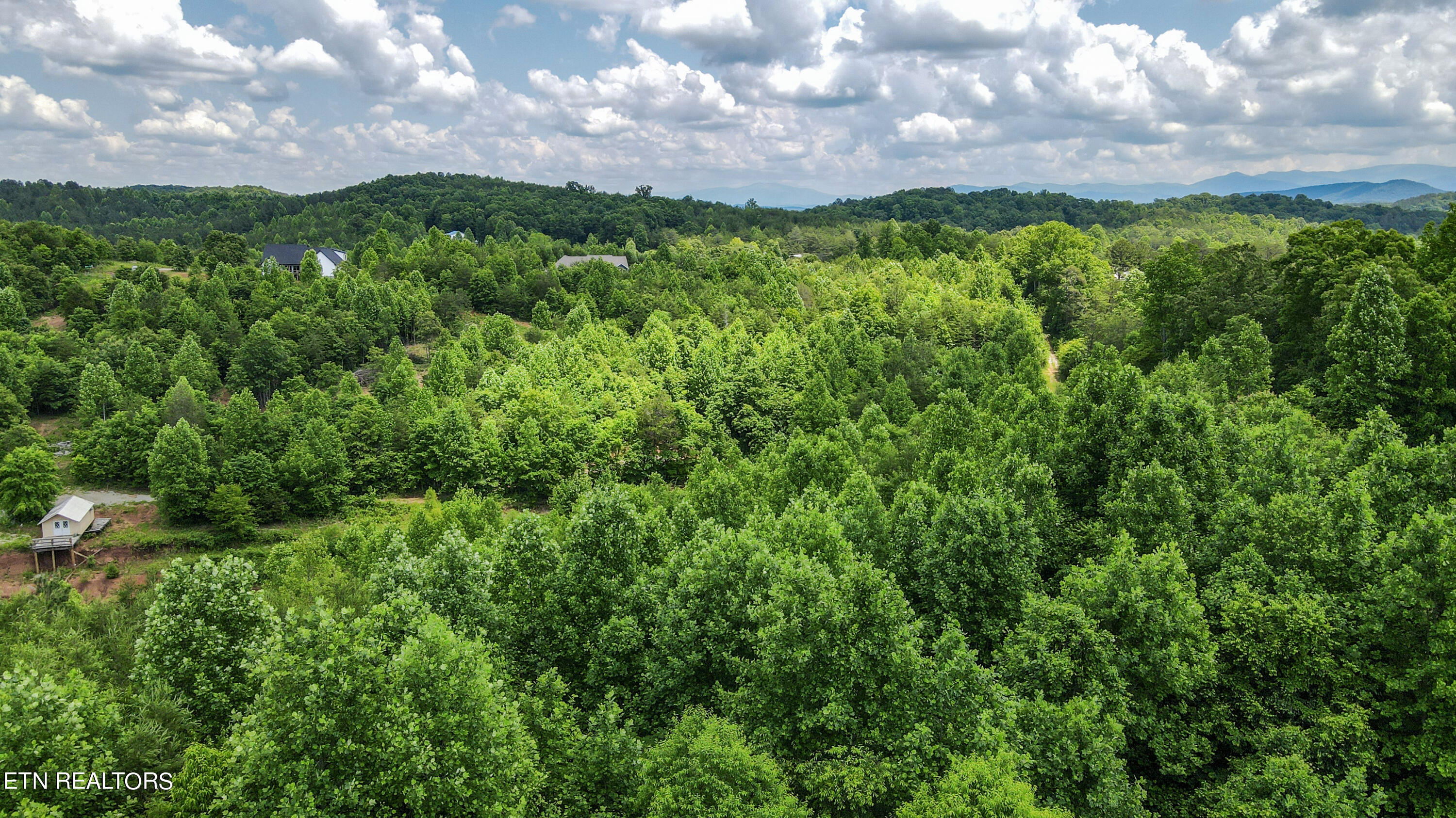 2072 Ballplay Road Madisonville, TN 37354 - Photo 44 of 55 43-DJI_0758