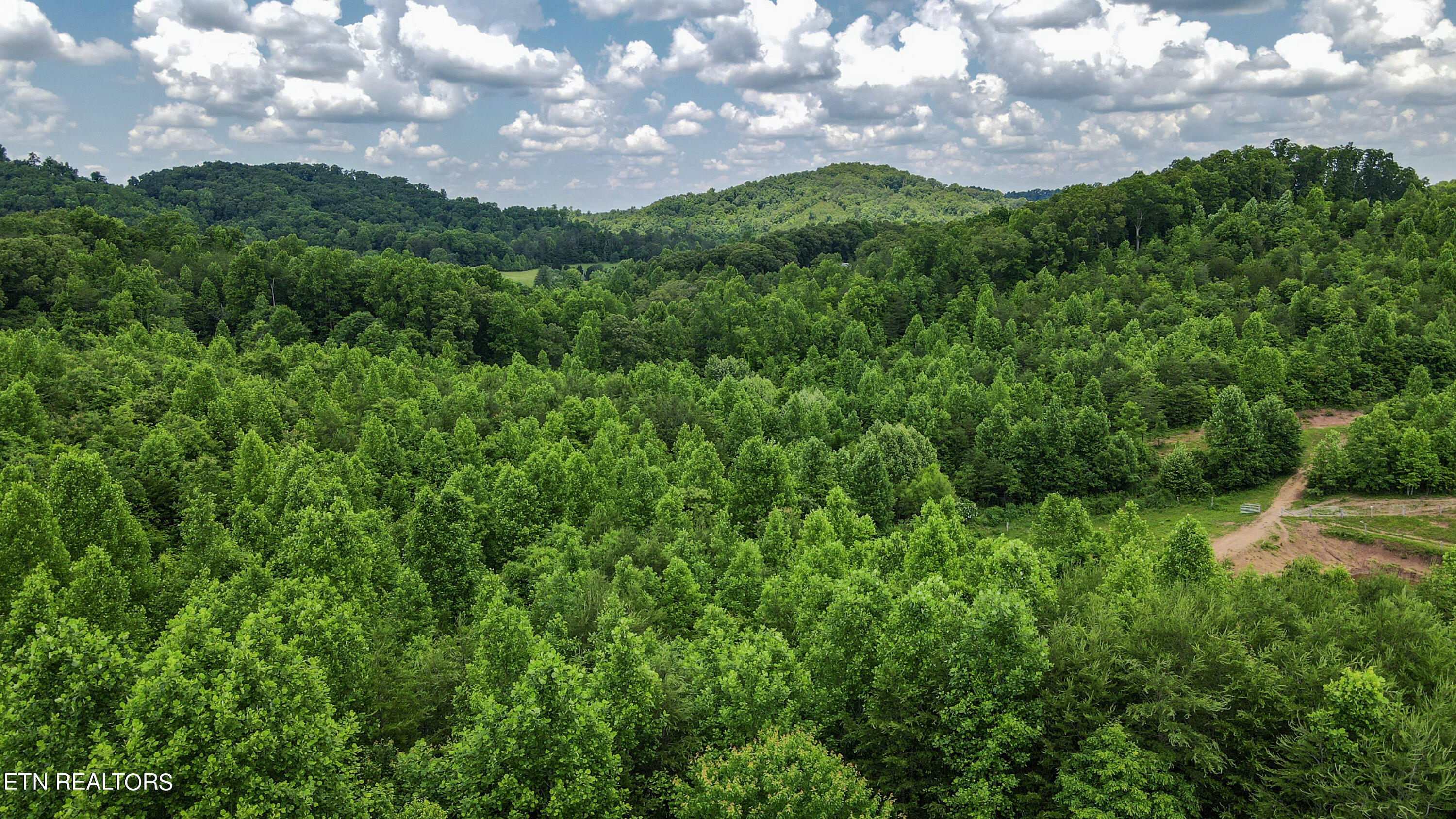 2072 Ballplay Road Madisonville, TN 37354 - Photo 46 of 55 45-DJI_0760