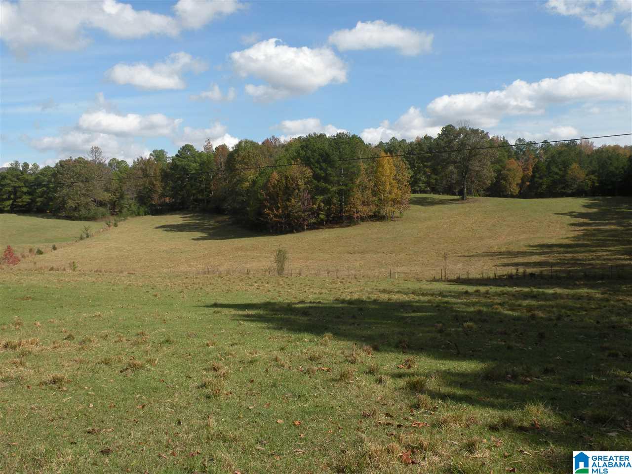 4950 Plantersville Road Alpine, AL 35014 - Photo 23 of 47 Gallery Image 23