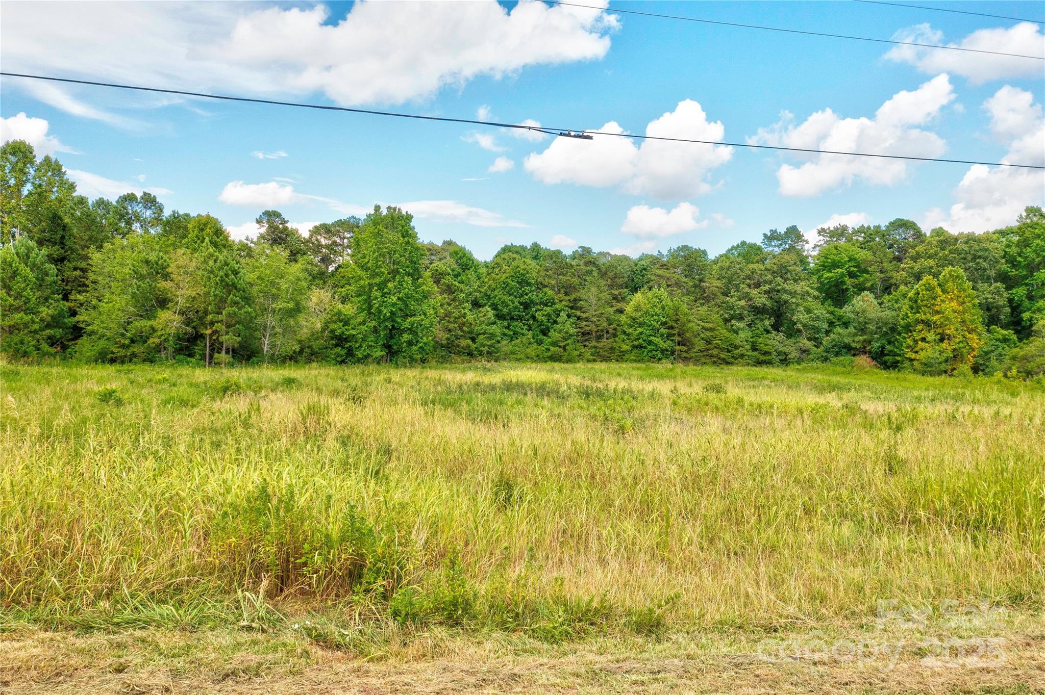 0 St Paul Church Road Lawndale, NC 28090 - Photo 2 of 7