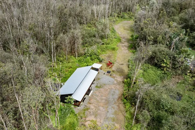 a view of a backyard with plants and large trees