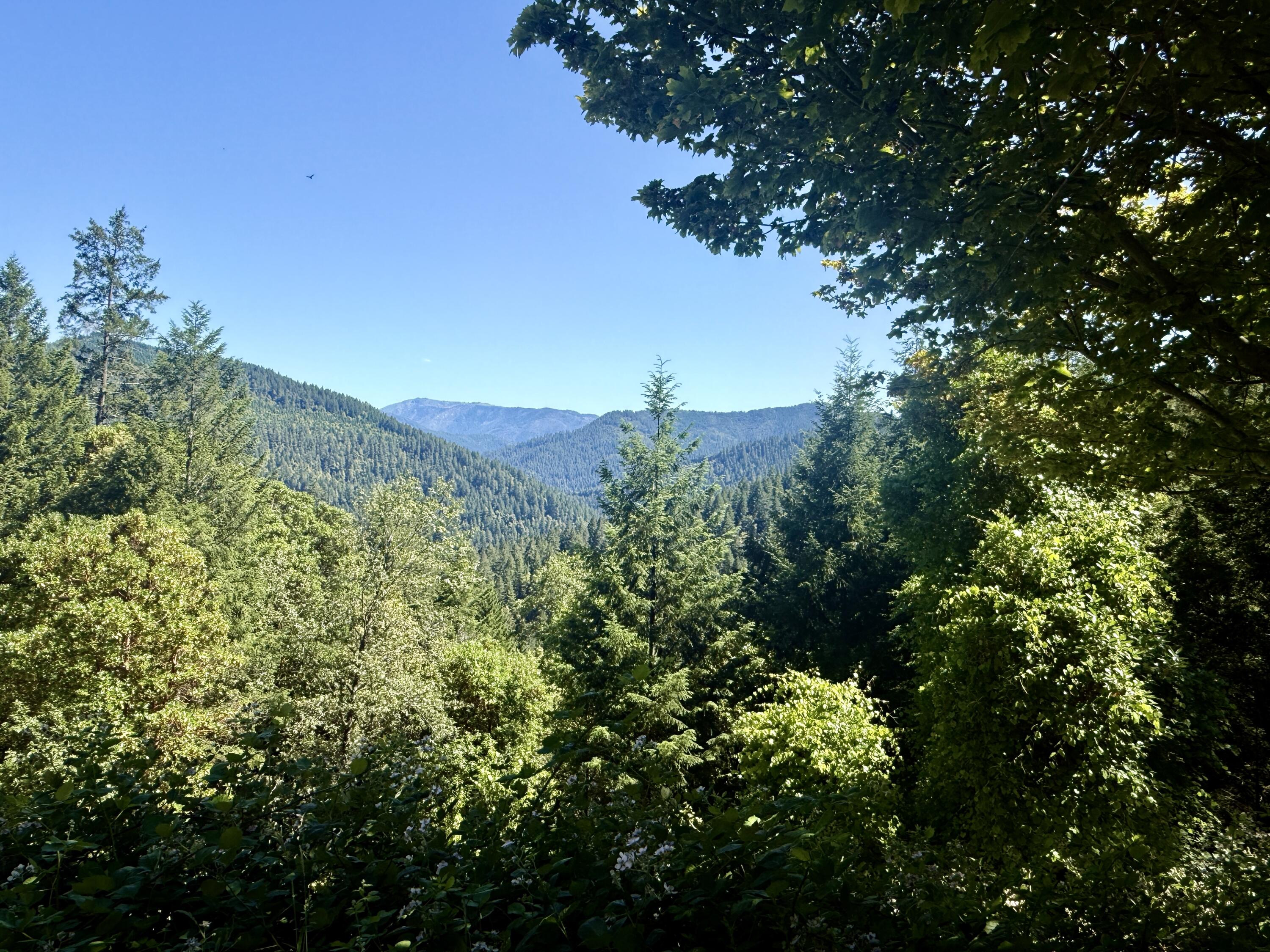 787 Owl Mine Road Orleans, CA 95556 - Photo 51 of 53