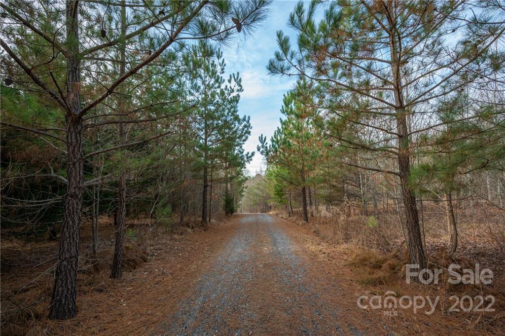137 Creekside Circle Rutherfordton, NC 28139 - Photo 37 of 41 Gallery Image 37
