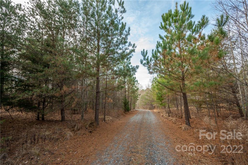 137 Creekside Circle Rutherfordton, NC 28139 - Photo 38 of 41 Gallery Image 38