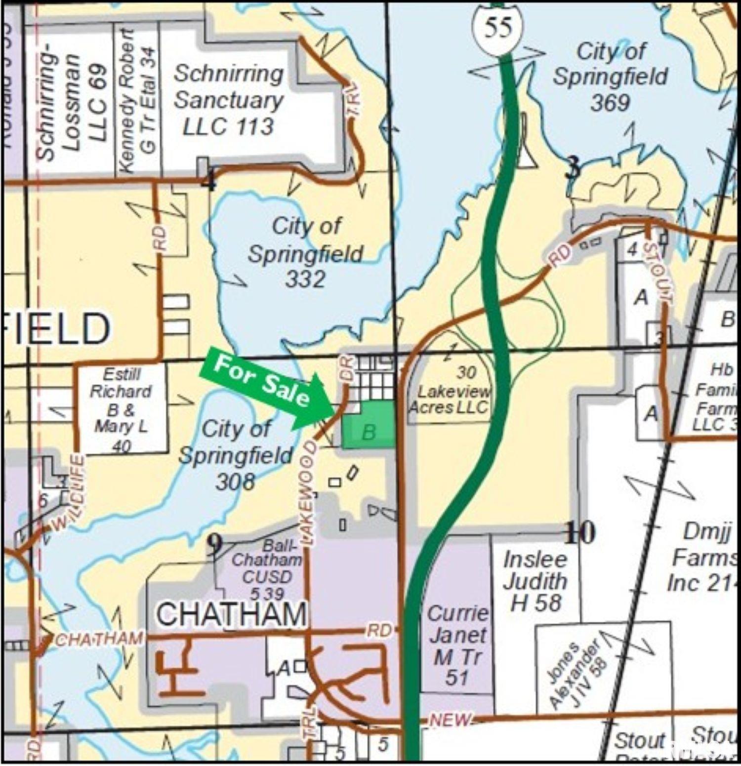 Palm Road Chatham, IL 62629 - Photo 12 of 12