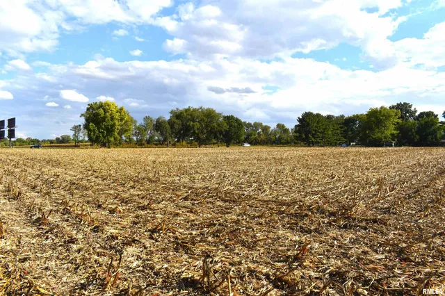 Palm Road, Chatham, IL 62629