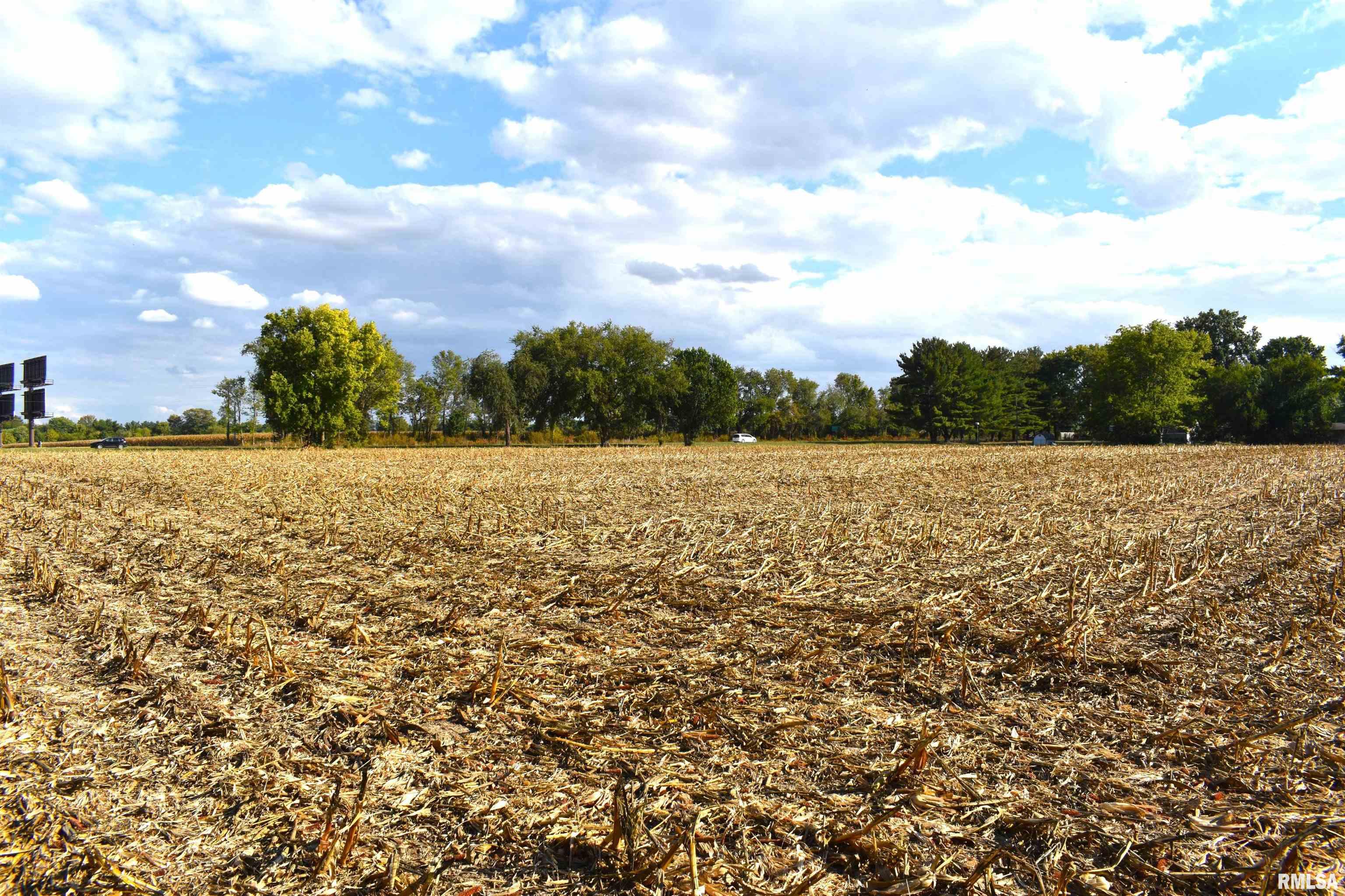 Palm Road Chatham, IL 62629 - Photo 7 of 12