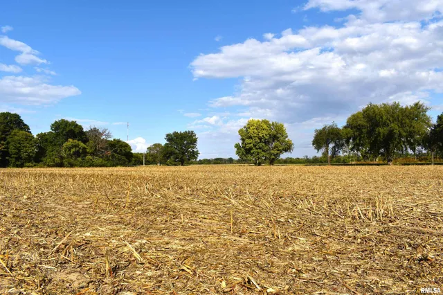 Palm Road, Chatham, IL 62629