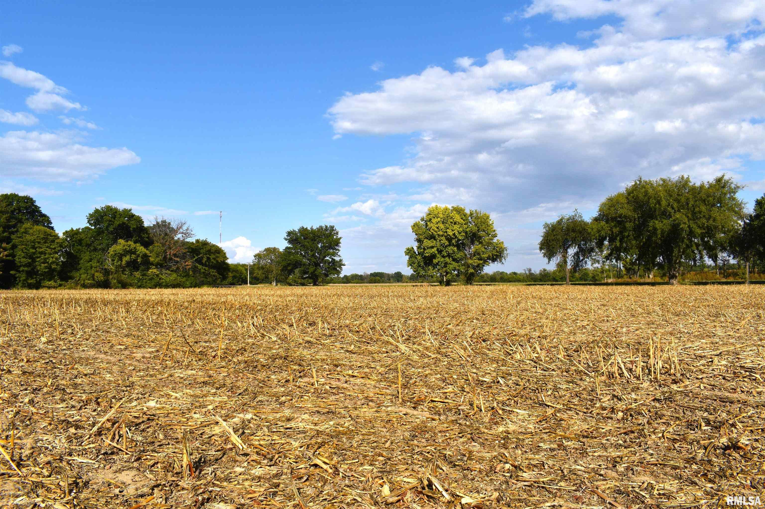 Palm Road Chatham, IL 62629 - Photo 8 of 12