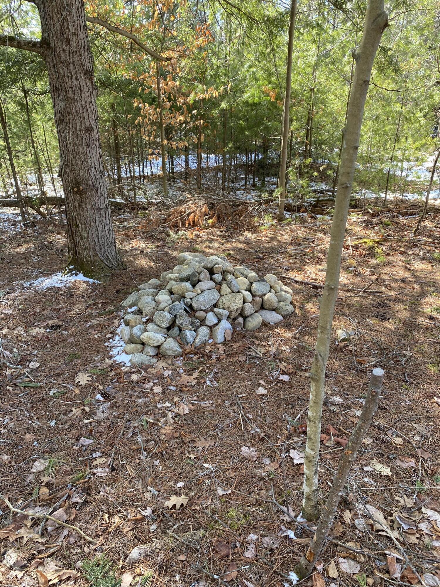 530 Fox Run Road Lewis, NY 12950 - Photo 6 of 11 IMG_2511