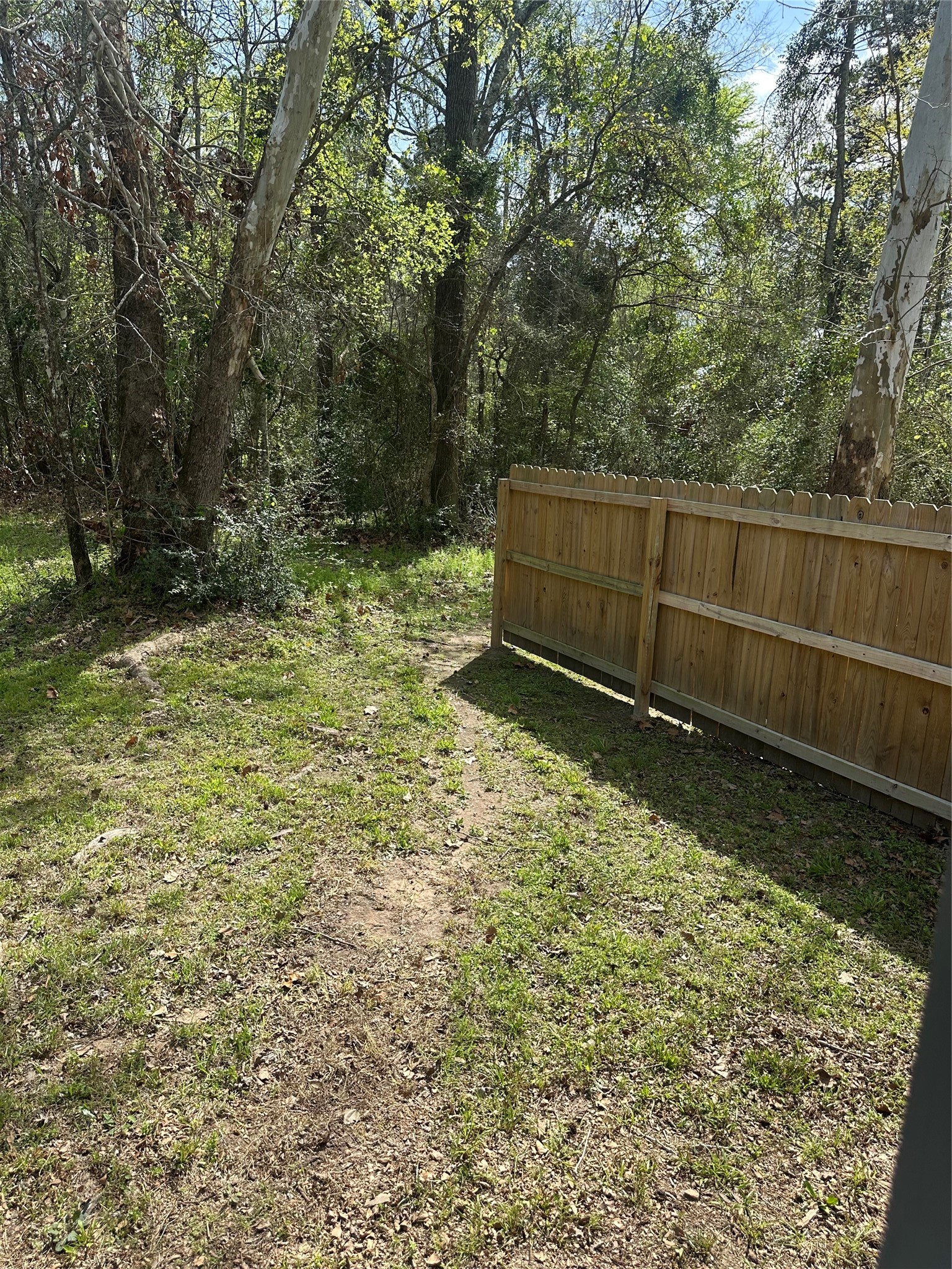 2265 McCaleb Road Montgomery, TX 77316 - Photo 19 of 23