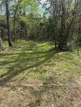 $1,250 | 2265 McCaleb Road, Montgomery, TX 77316
