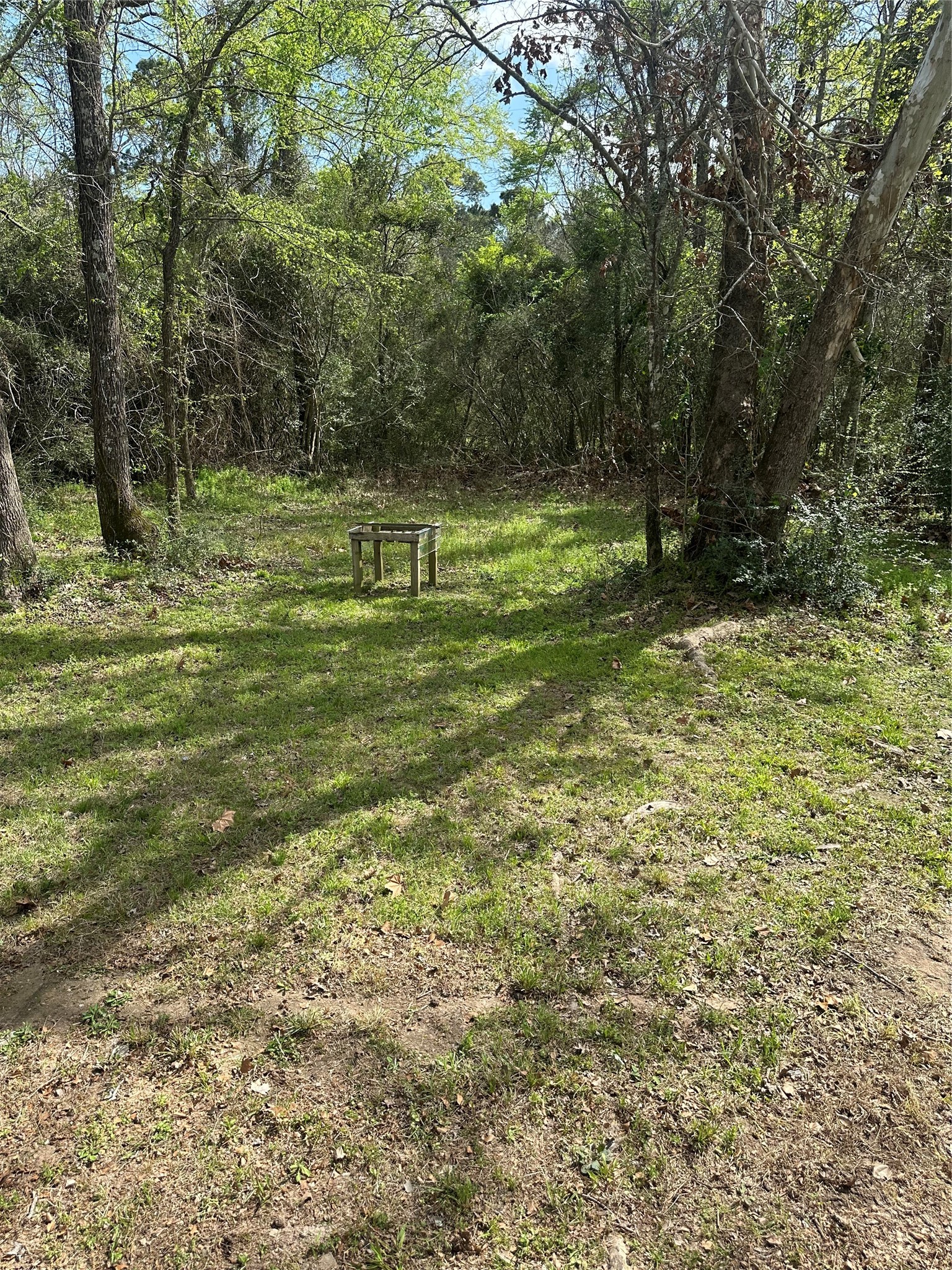 2265 McCaleb Road Montgomery, TX 77316 - Photo 21 of 23