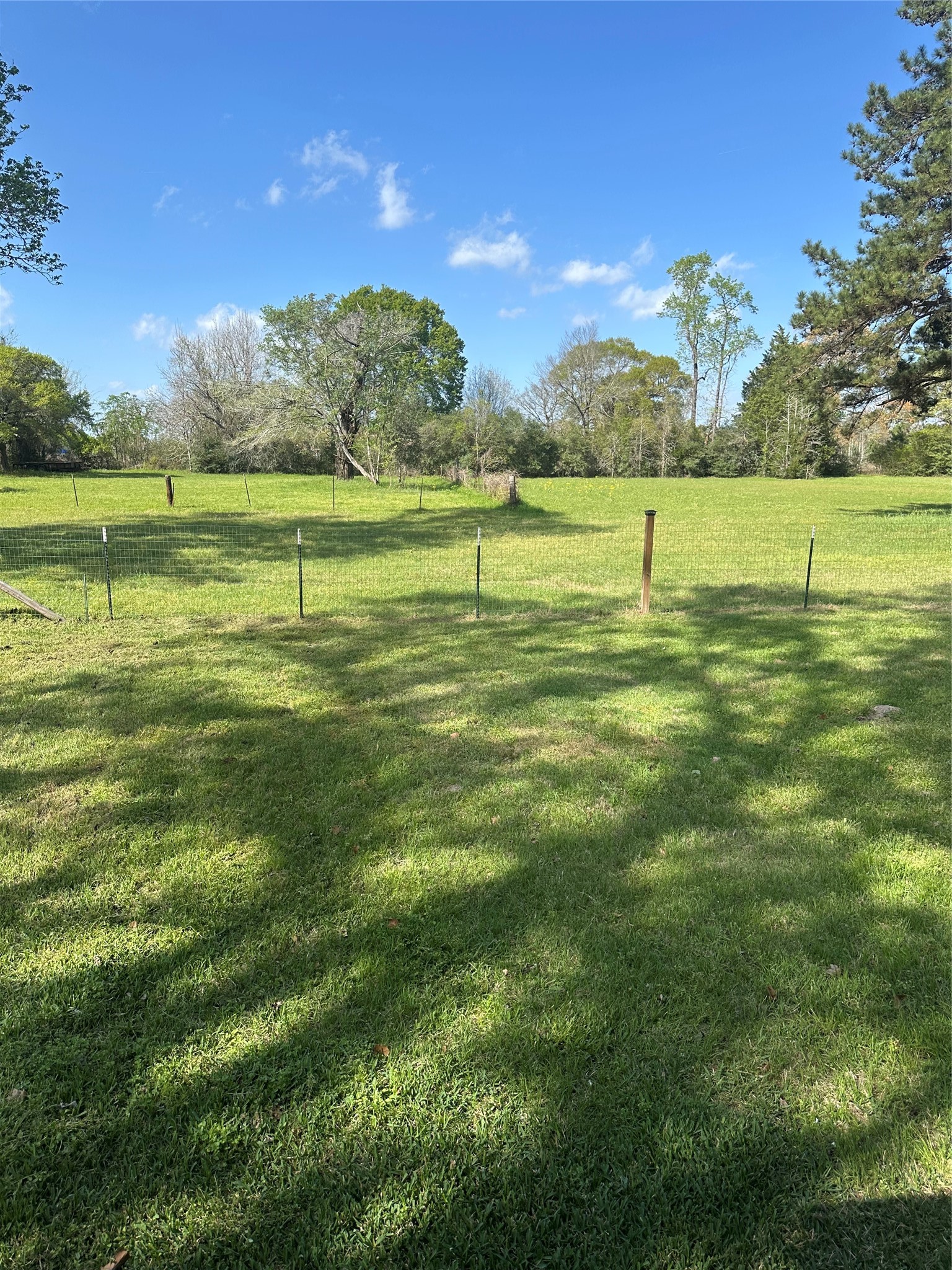 2265 McCaleb Road Montgomery, TX 77316 - Photo 23 of 23
