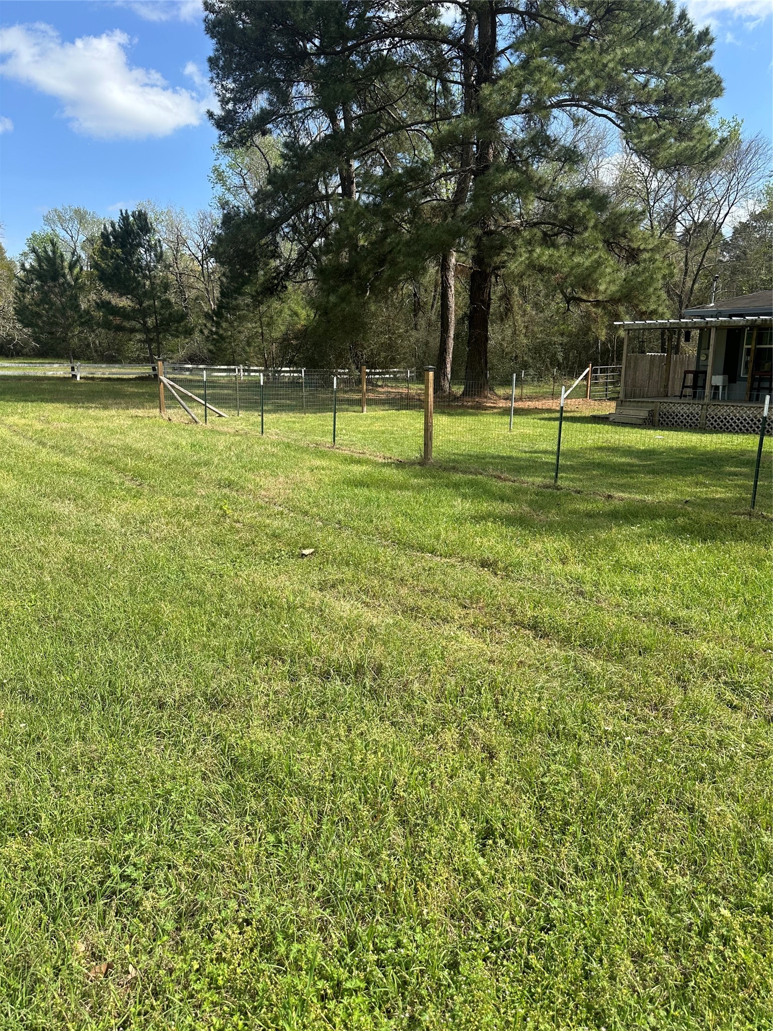 2265 McCaleb Road Montgomery, TX 77316 - Photo 3 of 23