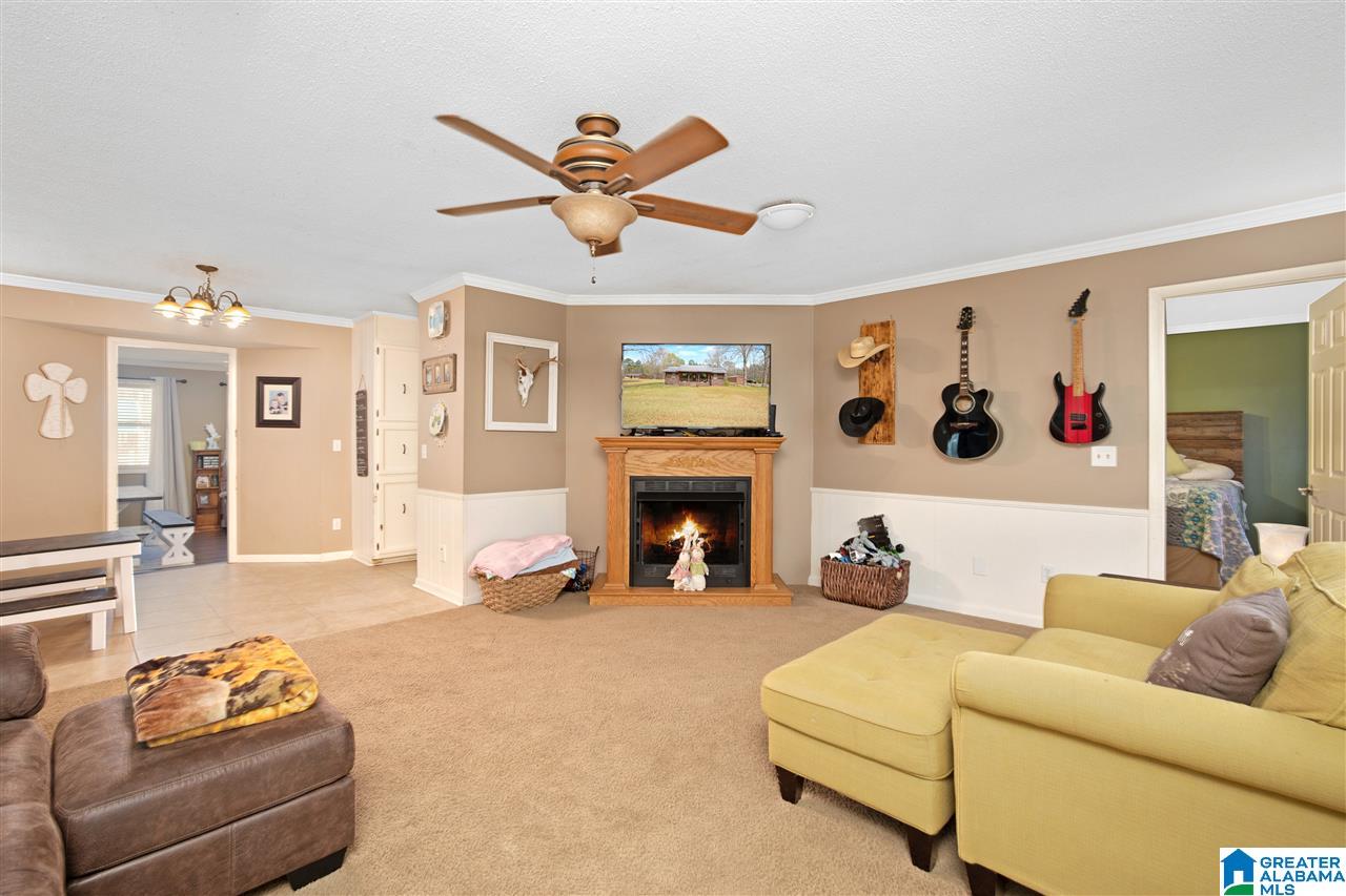10780 Grist Mill Road Childersburg, AL 35044 - Photo 10 of 25