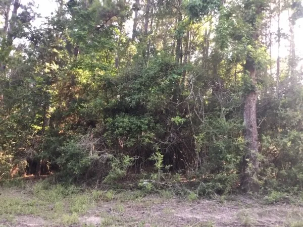 $239,000 | 272 Artesian, Onalaska, TX 77360