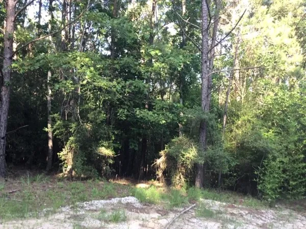 $239,000 | 272 Artesian, Onalaska, TX 77360