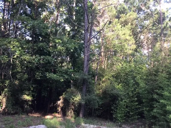 $239,000 | 272 Artesian, Onalaska, TX 77360