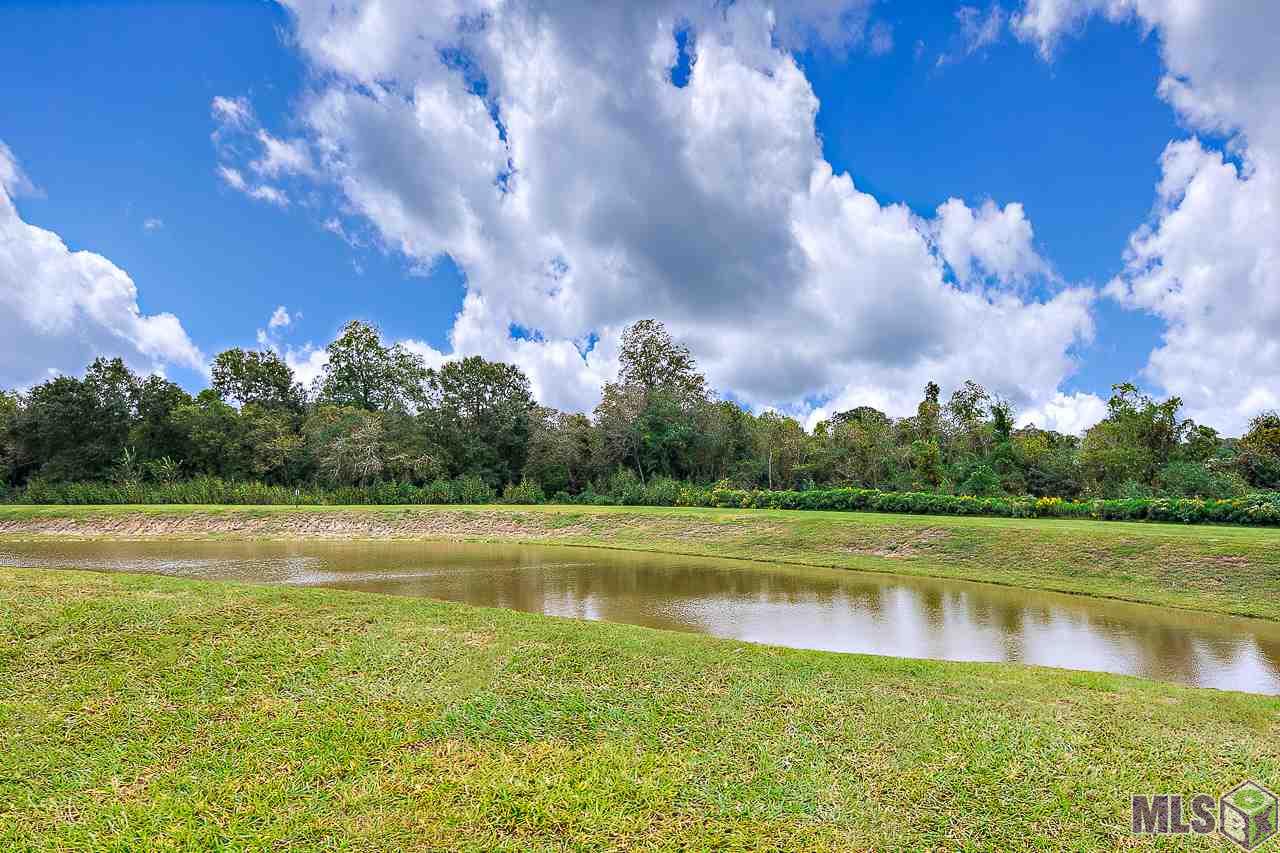 38329 Brown Road Prairieville, LA 70769 - Photo 25 of 25