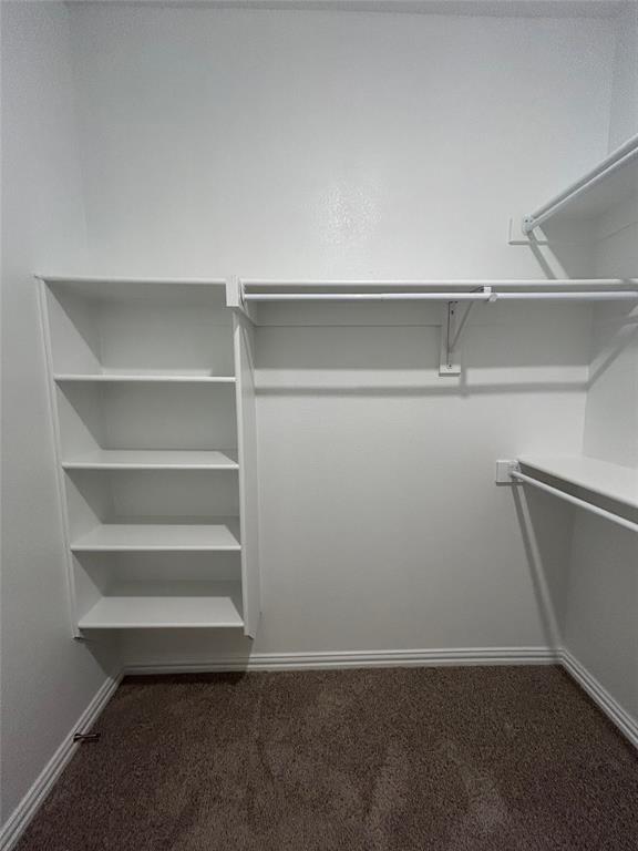 1448 Sun Gdn Way Justin, TX 76247 - Photo 12 of 28 Walk in closet featuring dark carpet