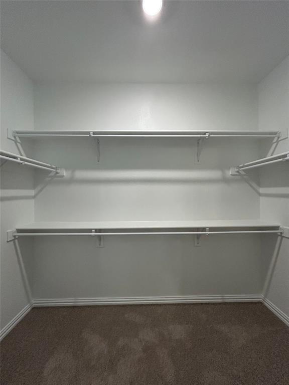 1448 Sun Gdn Way Justin, TX 76247 - Photo 13 of 28 Walk in closet with dark carpet