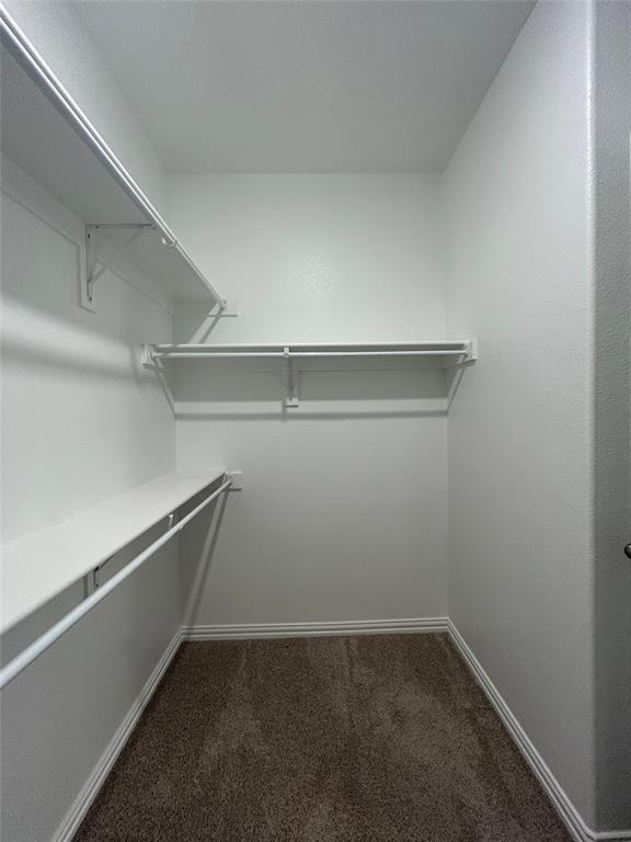 1448 Sun Gdn Way Justin, TX 76247 - Photo 20 of 28 Walk in closet featuring dark colored carpet