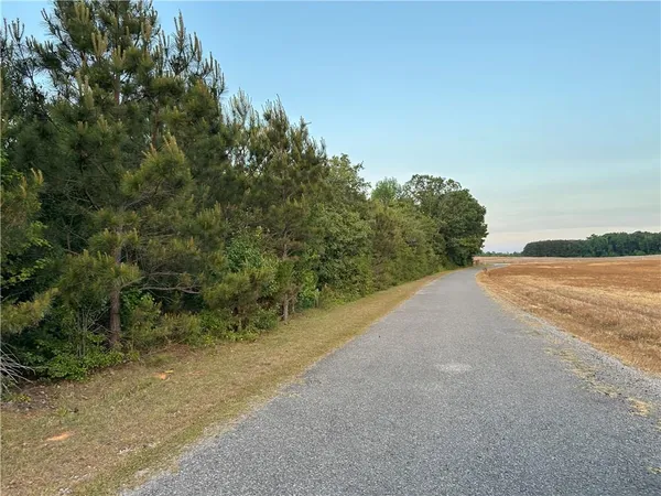 a view of a road with a yard