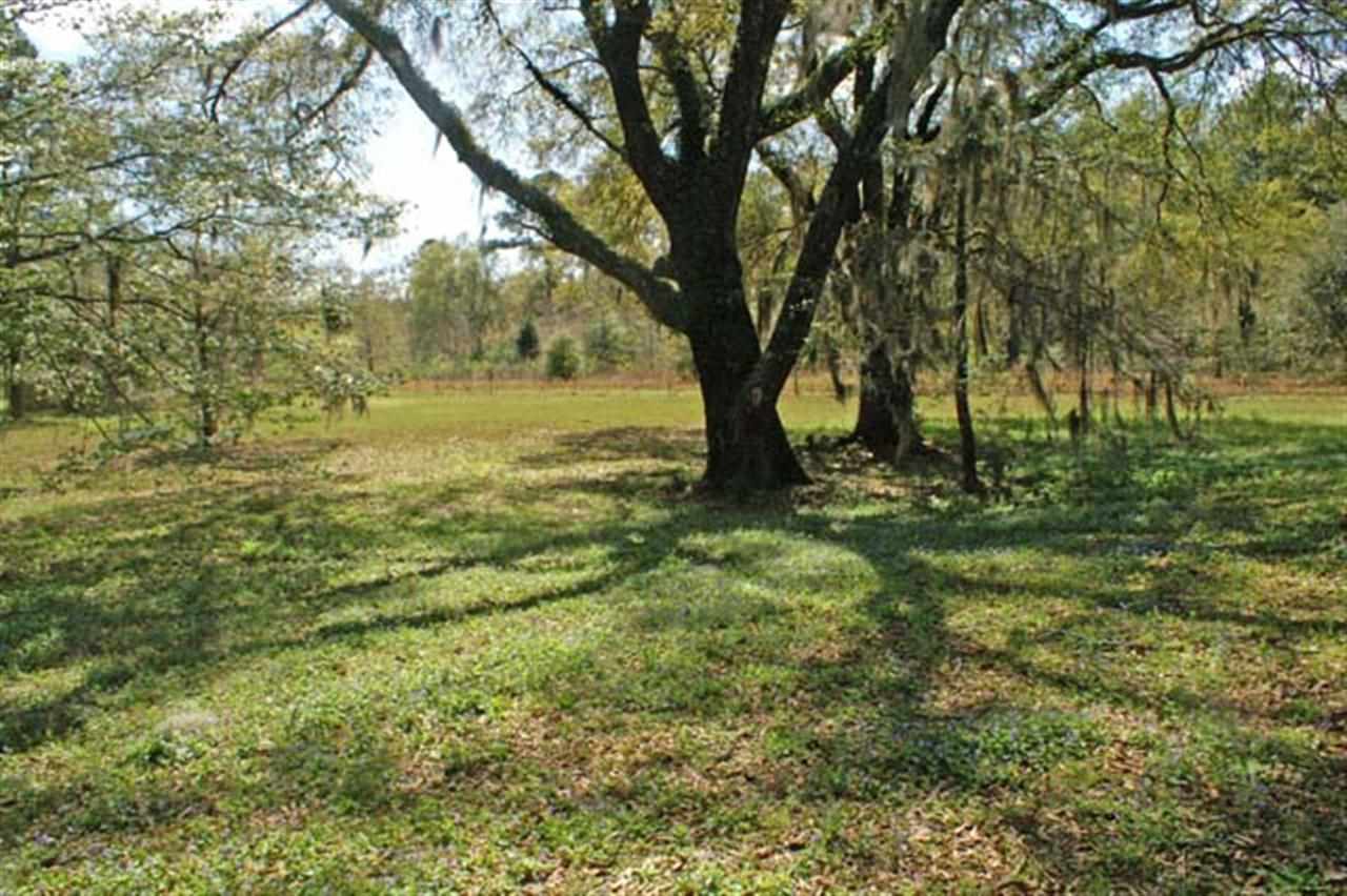 313 Demott Road Monticello, FL 32344 - Photo 8 of 25 Gallery Image 8
