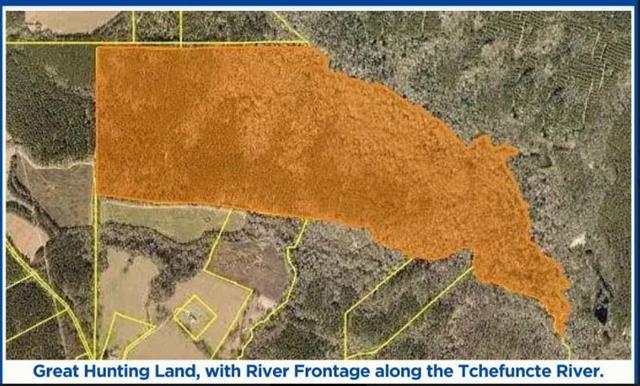 220-acres Z McDaniel Road Franklinton, LA 70438 - Photo 1 of 3