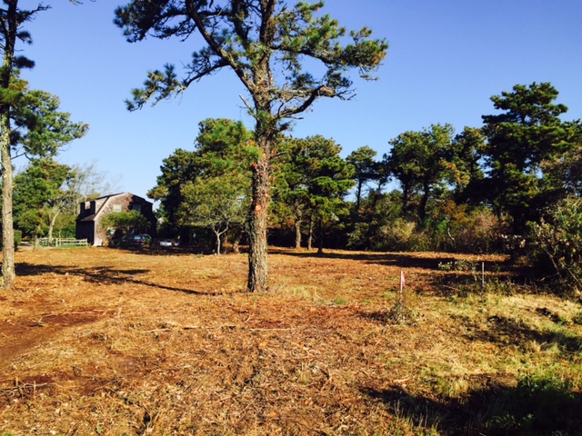 16 Sleepy Hollow Road Nantucket, MA 02554 - Photo 7 of 7 Gallery Image 7
