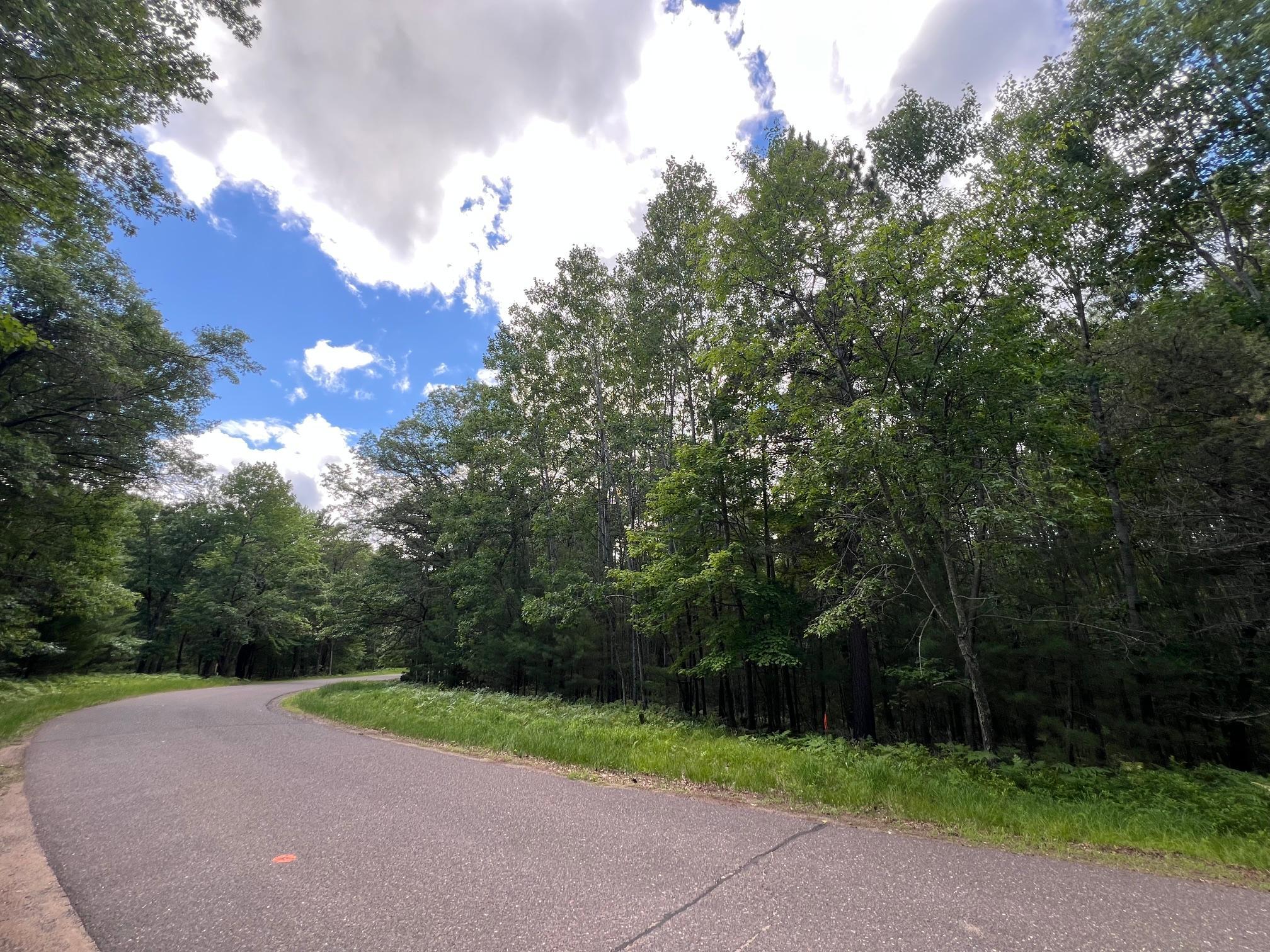 Lot 15 Loon Lake Road Danbury, WI 54830 - Photo 6 of 20