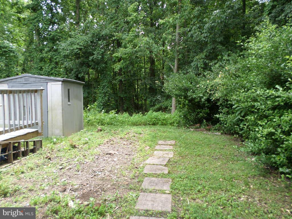 3407 Santee Road Baltimore, MD 21236 - Photo 20 of 22 a backyard of a house with lots of green space