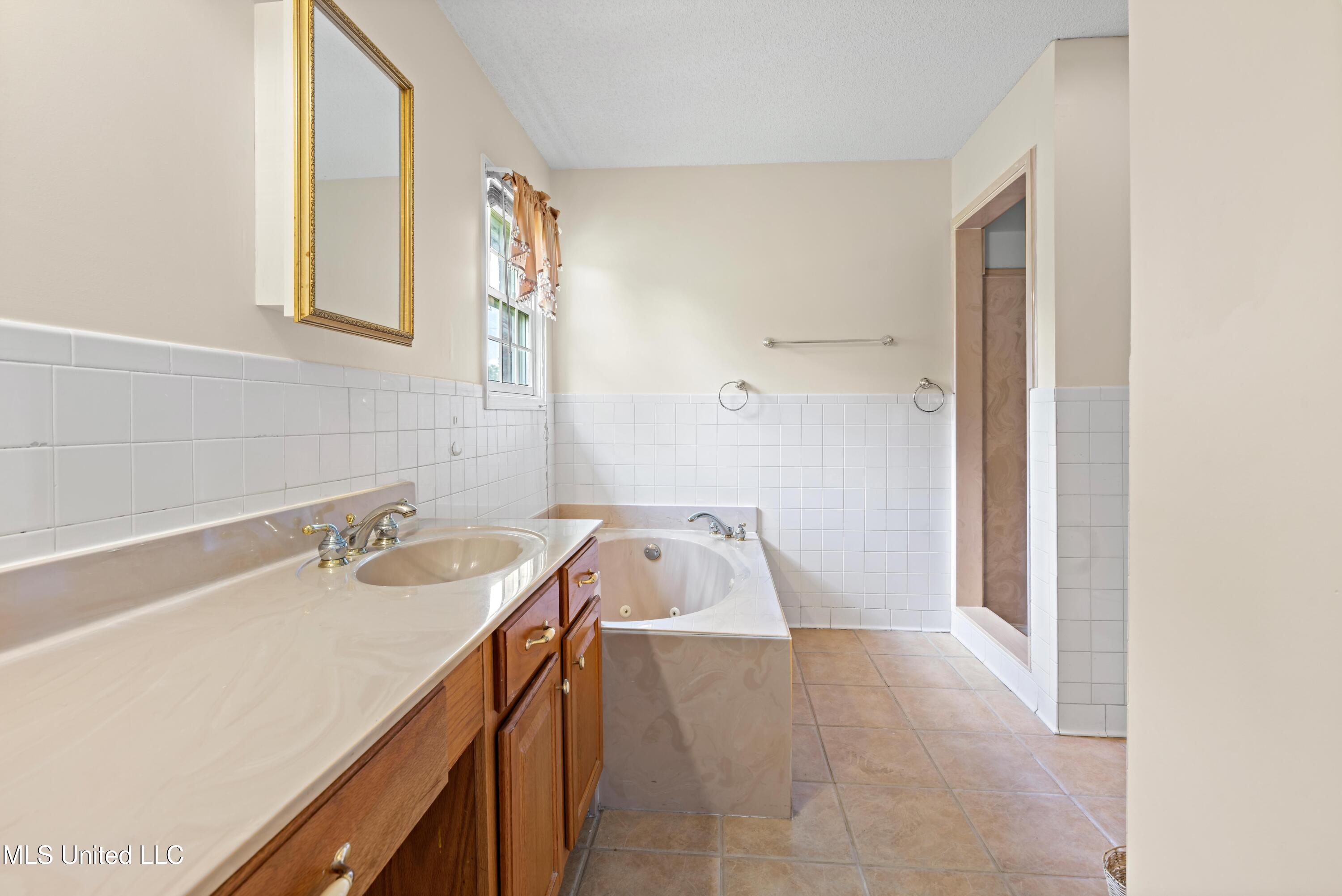 10668 Stark Acres Road Olive Branch, MS 38654 - Photo 15 of 22 Primary Bathroom