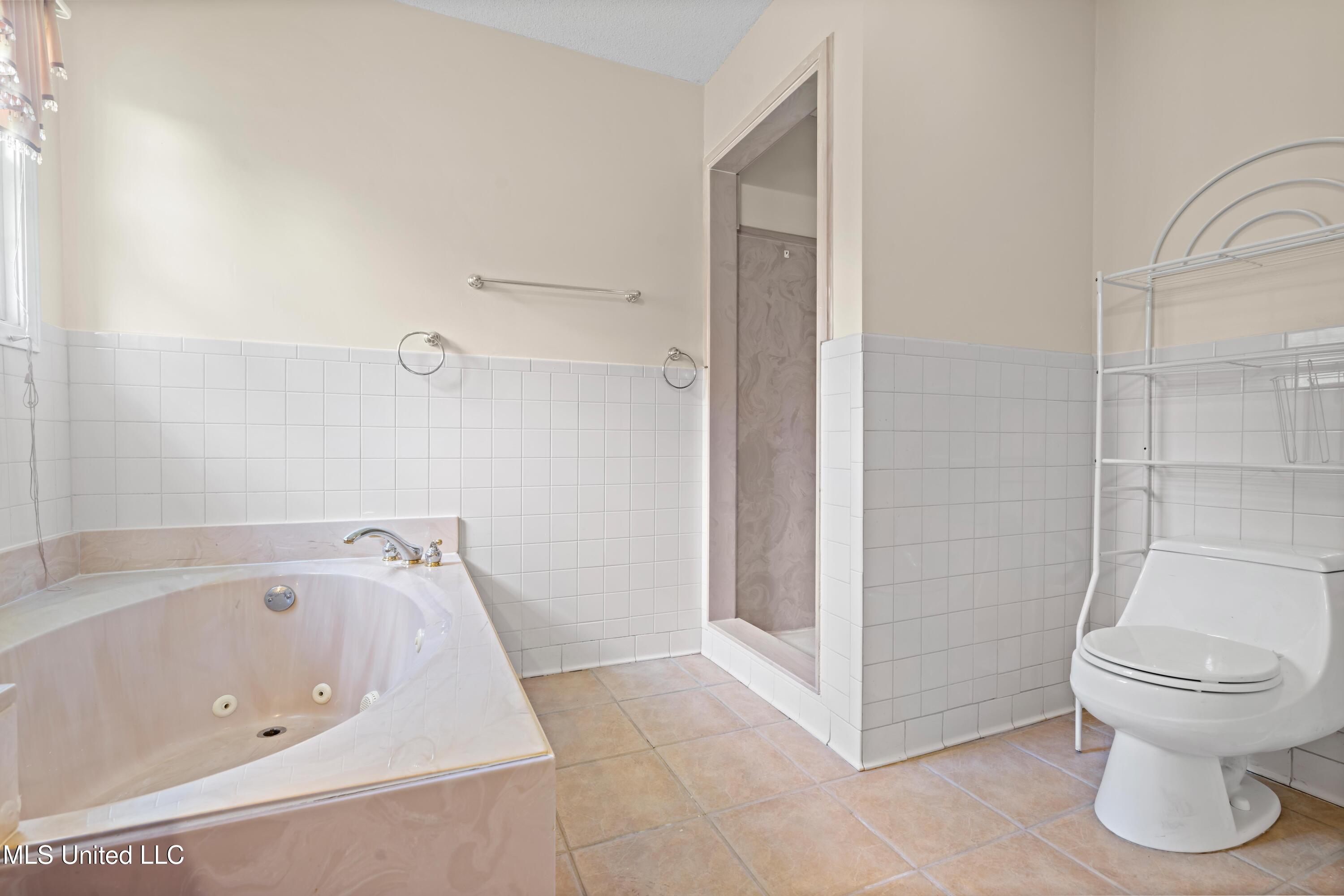 10668 Stark Acres Road Olive Branch, MS 38654 - Photo 16 of 22 Primary Bathroom