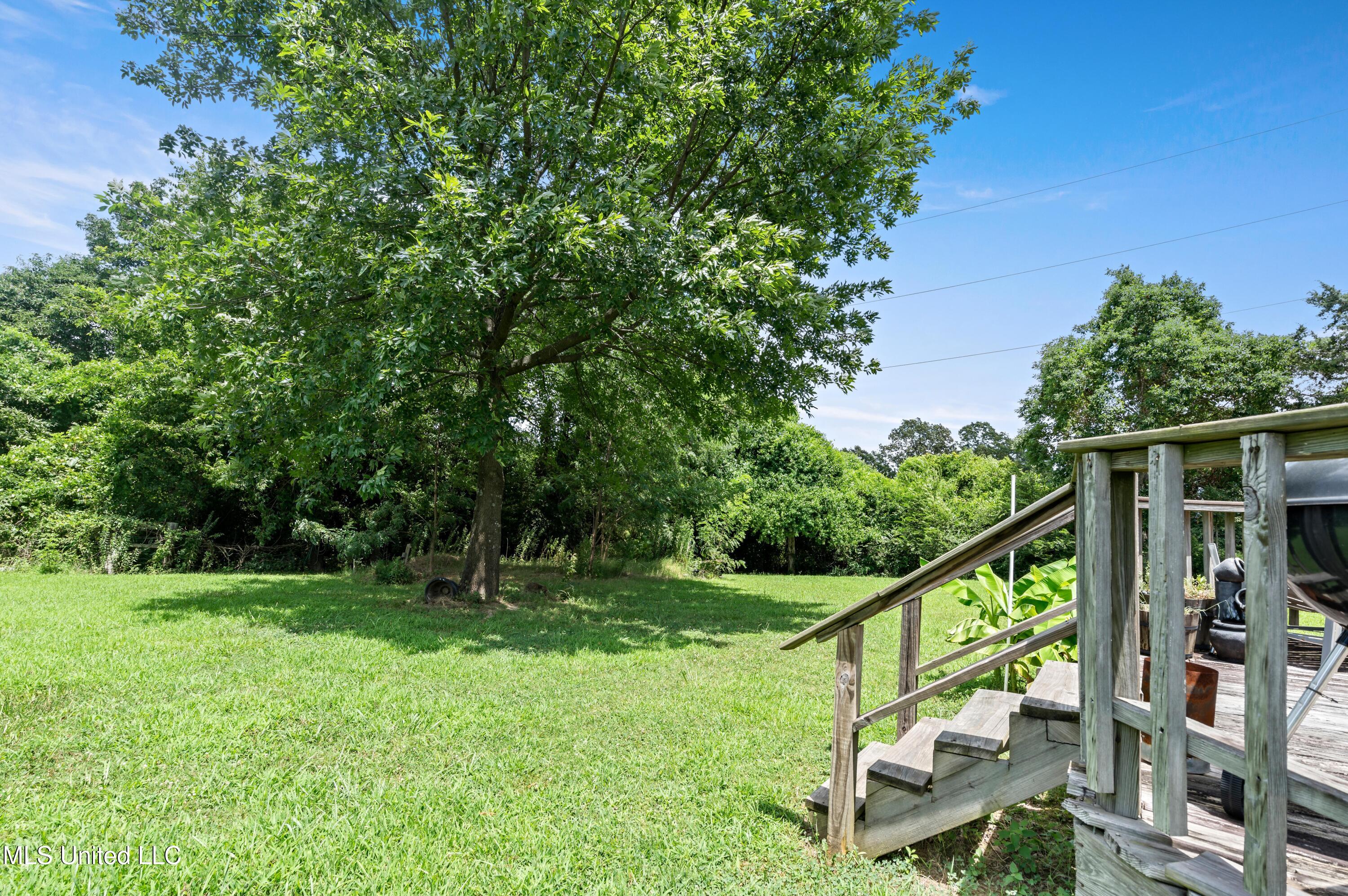 10668 Stark Acres Road Olive Branch, MS 38654 - Photo 22 of 22 Patio