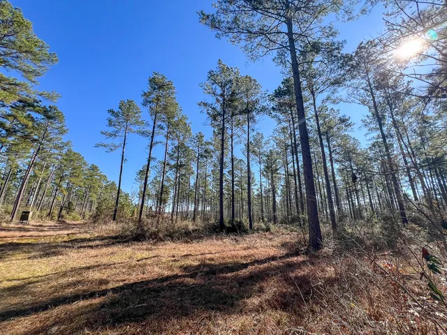 $725,400 | 4 Highway 287, Pennington, TX 75856