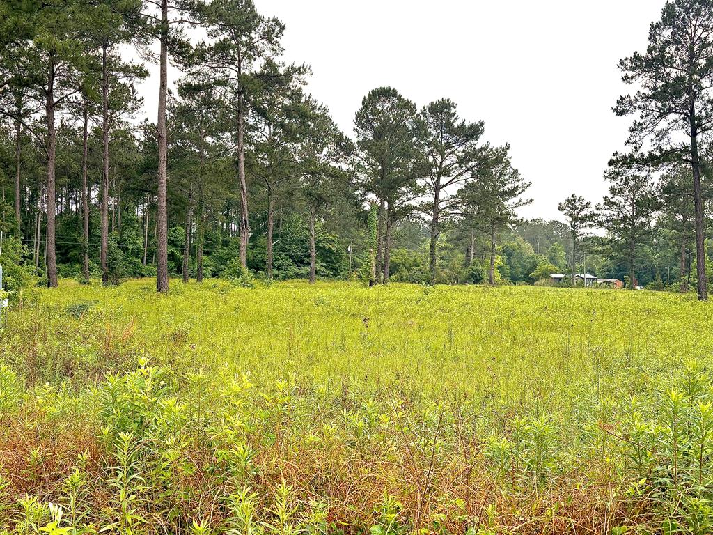 0 Johnson Road Cairo, GA 39828 - Photo 1 of 2 Main View