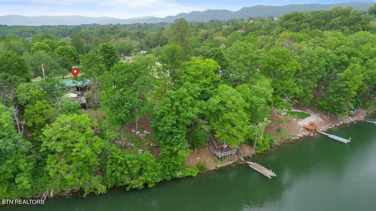 446 Oak Run Road La Follette, TN 37766 - Photo 15 of 50 20250506200728502615000000-o
