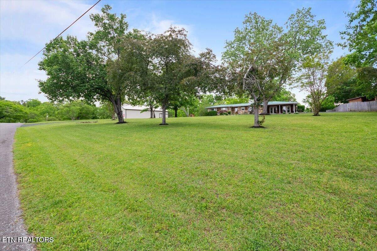 446 Oak Run Road La Follette, TN 37766 - Photo 16 of 50 20250506200727969312000000-o