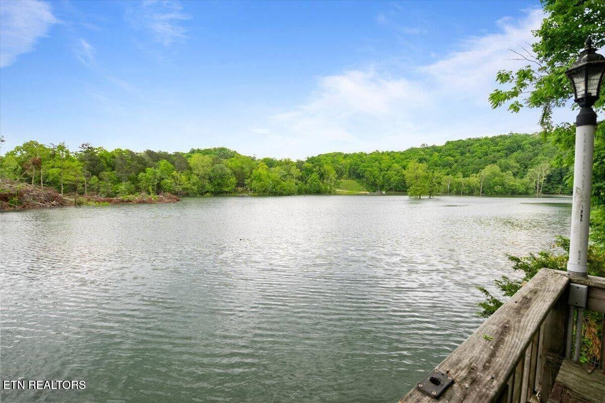446 Oak Run Road La Follette, TN 37766 - Photo 37 of 50 20250506200709750398000000-o (1)