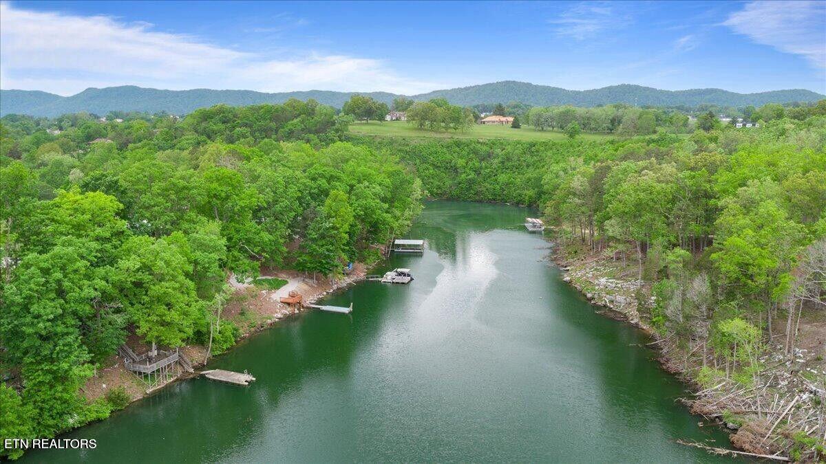 446 Oak Run Road La Follette, TN 37766 - Photo 45 of 50 20250506200703461451000000-o (1)