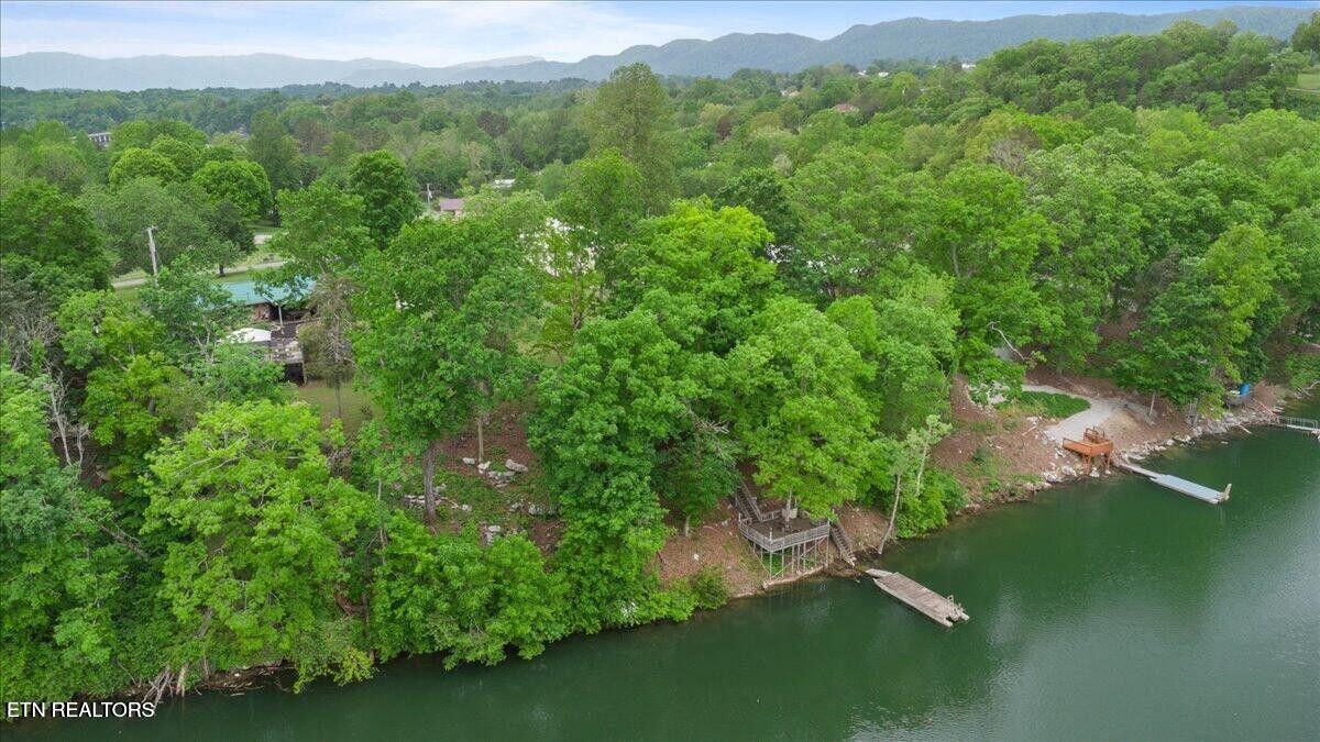 446 Oak Run Road La Follette, TN 37766 - Photo 46 of 50 20250506200702929318000000-o (1)