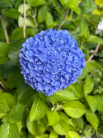 $879,000 | 100 Albee Road, Augusta, ME 04330