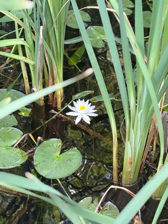 $879,000 | 100 Albee Road, Augusta, ME 04330