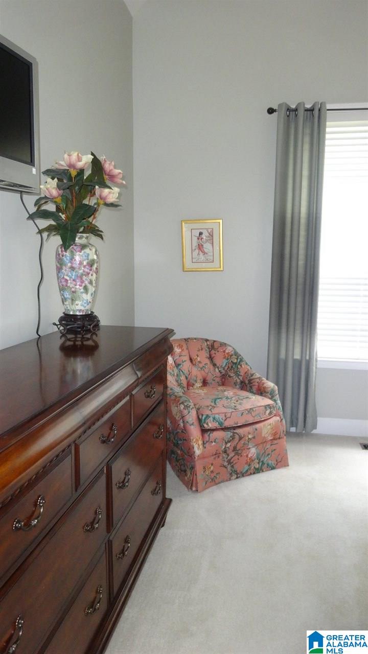 308 Grande View Trail Alabaster, AL 35114 - Photo 24 of 49